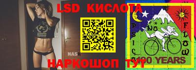 Альфа ПВП Сланцы