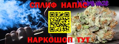 Альфа ПВП Сланцы